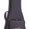 Front of a Case for a Martin Guitar image number 5